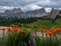 AX2018-Mayrhofen-Gardasee-04-Falcade-0025