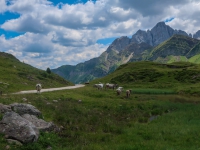 AX2018-Mayrhofen-Gardasee-05-San-Martino-0089