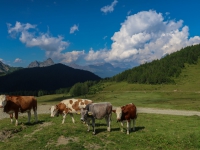 AX2018-Mayrhofen-Gardasee-06-Spera-0055