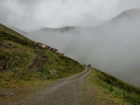 AX2025-Innsbruck-Bassano-del-Grappa-02-Saltelbergalm-017