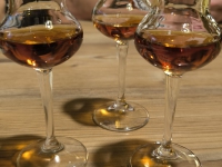 AX2025-Innsbruck-Bassano-del-Grappa-02-Saltelbergalm-072