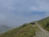 AX2025-Innsbruck-Bassano-del-Grappa-03-Kematen-021