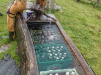 AX2025-Innsbruck-Bassano-del-Grappa-03-Kematen-050