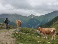 AX2025-Innsbruck-Bassano-del-Grappa-04-Stefansdorf-017