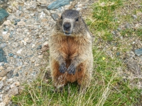 AX2025-Innsbruck-Bassano-del-Grappa-04-Stefansdorf-031