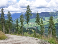 AX2025-Innsbruck-Bassano-del-Grappa-05-La-Villa-039