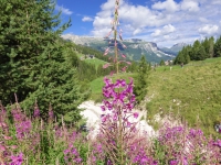 AX2025-Innsbruck-Bassano-del-Grappa-06-Argondo-013