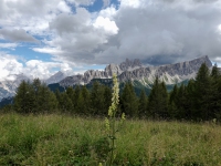 AX2025-Innsbruck-Bassano-del-Grappa-06-Argondo-060