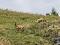 AX2025-Innsbruck-Bassano-del-Grappa-08-Bassano-del-Grappa-085