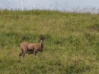 AX2025-Innsbruck-Bassano-del-Grappa-08-Bassano-del-Grappa-087